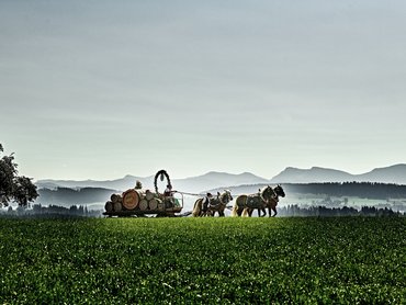 Meckatzer Löwenbräu